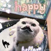 petit petitの画像