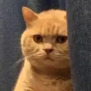 何でも屋