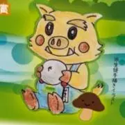 momoの画像