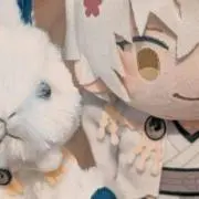 紫苑の画像