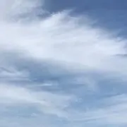 yuki ※セール中です！の画像