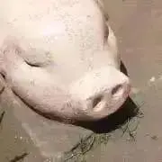 りぶの画像