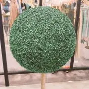 こうへいの画像