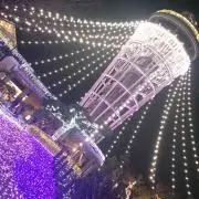 cooの画像