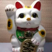 旅猫