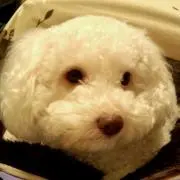 くうの画像