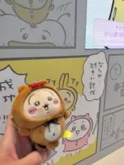 さふぁの画像