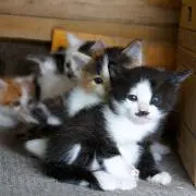 uta*の画像