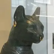 Sho 断捨離中の画像