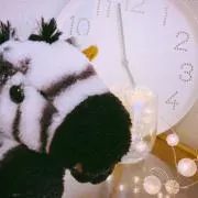Misakiの画像