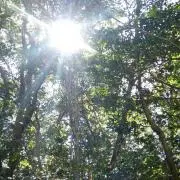 かん☆の画像