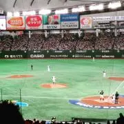Freddyの画像