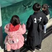 わんこ✨即購入OK、6/7発送お休み✨の画像