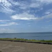 まるの画像