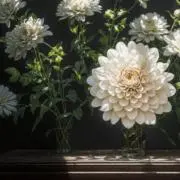 minの画像