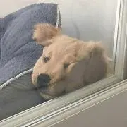 huの画像