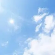 はち　　さめ
