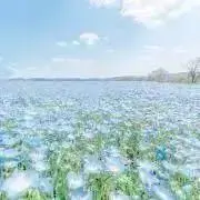 【火、金のみ発送】めっしー☆彡の画像