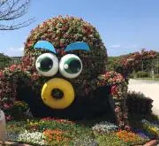 ふうたんの画像