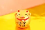 ととの画像
