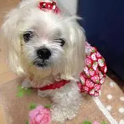 HARU-chan