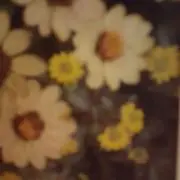 ふらたんの画像