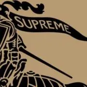 snkrsnkrの画像