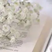ななみ