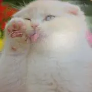 はれた。