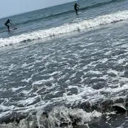 ザンダー•シャウフェレの画像