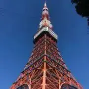 あおいの画像