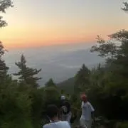 masaの画像