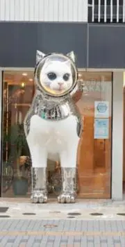 mam