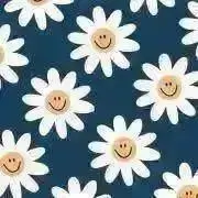 ぴぴぴの画像