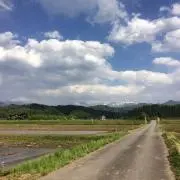 WAKABA★の画像