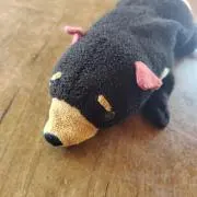 domingoの画像