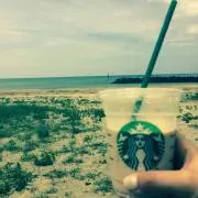 のみの画像