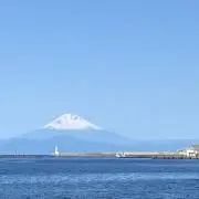 レオンの画像