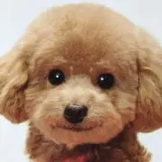 いちゃ