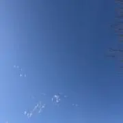 からやむの画像
