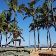 ポムポムの画像
