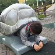 ナナホシの画像
