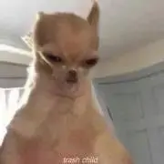 は