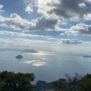 haruvinciの画像