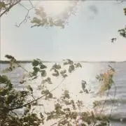 metsaの画像