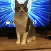 tto