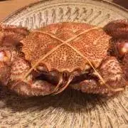 じゅんの画像