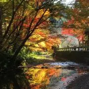 ペギーの画像