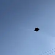 とん