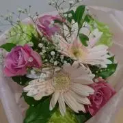 まみの画像